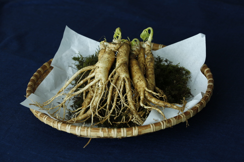 ready-to-eat, colored background, black background, freshness, basket, healthy eating, table, animal, food and drink, ginseng, indoors, no people, close-up