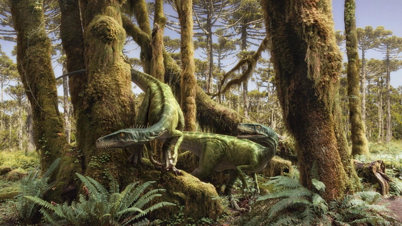 dinosaurios, animales, 1080P, prehistoricos