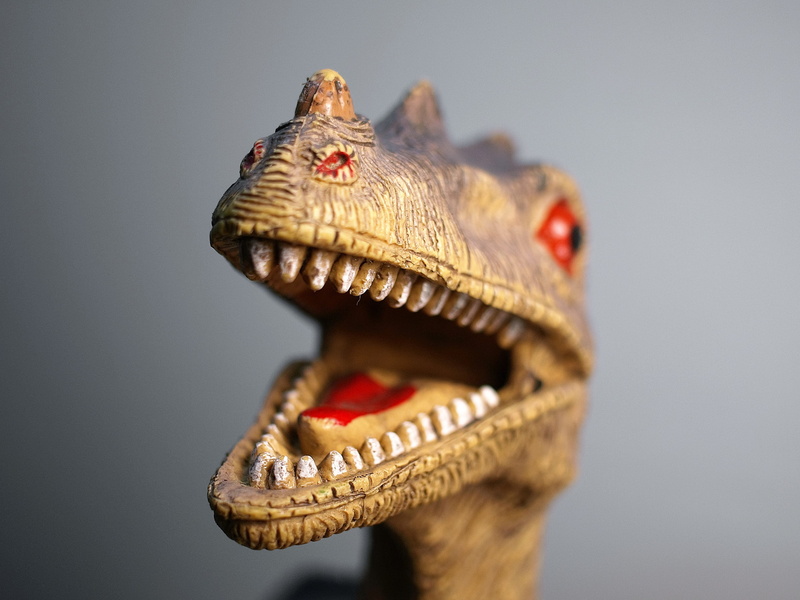 craft, creativity, animal, mouth, animal themes, trex, tyrannosaurus rex, 2K, close-up, representation, extinct, animal body part, animal head, animal wildlife