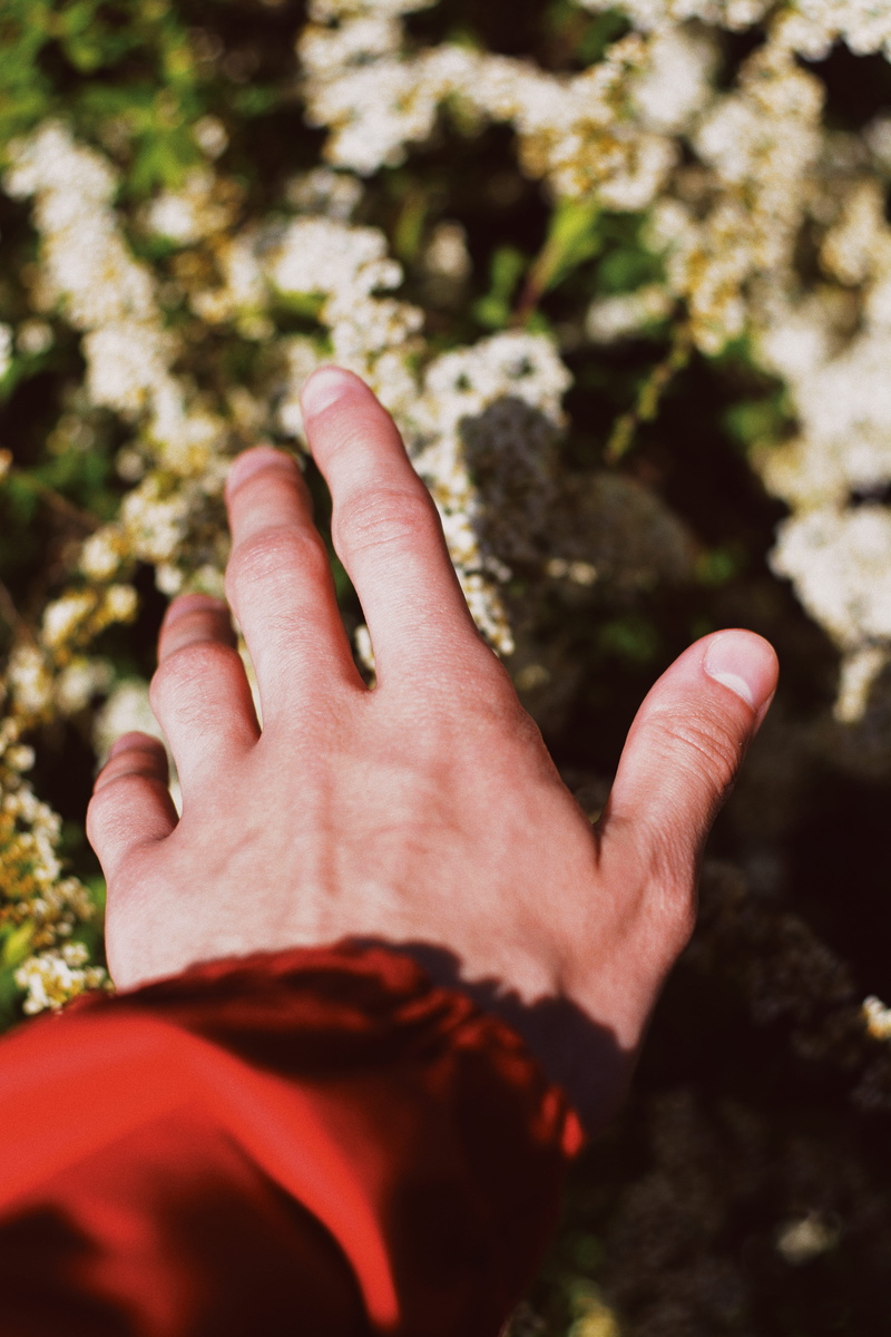 finger, botanical garden, unrecognizable person, men, human hand, human finger, leisure activity, sun, me, close-up, flower, human limb, hand, one person