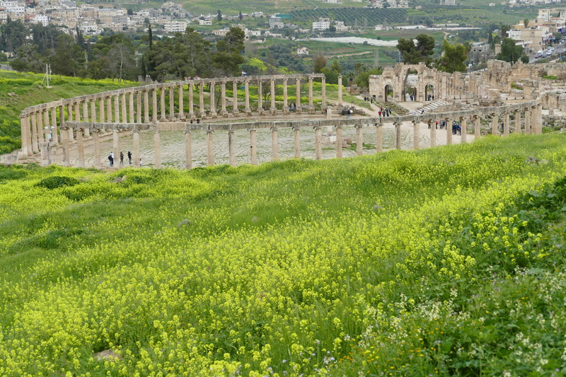 no people, green color, growth, field, jerash, architecture, decapolis, day, history, jordan, ancient civilization, outdoors, spring, built structure, ruin