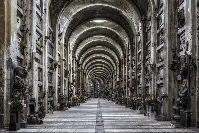 day, colonnade, direction, religion, building, indoors, diminishing perspective, arcade, abbey, ceiling, built structure, the past, the way forward, no people