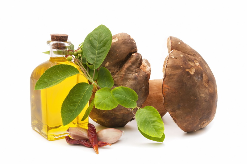 medicine, plant, backgrounds, mushrooms, pebble, studio shot, green color, food and drink, brown, ingredient, peppers, beauty Product, mint leaf - culinary