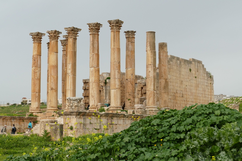 antiquity, outdoors, no people, building exterior, travel, plant, built structure, jordan, artemis, tourism, pillar, temple, corinthian, architectural column