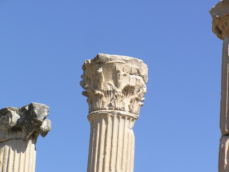 architectural column, old ruin, old, craft, nature, ancient, ephesus, art and craft, the past, human representation, archaeology, built structure, no people