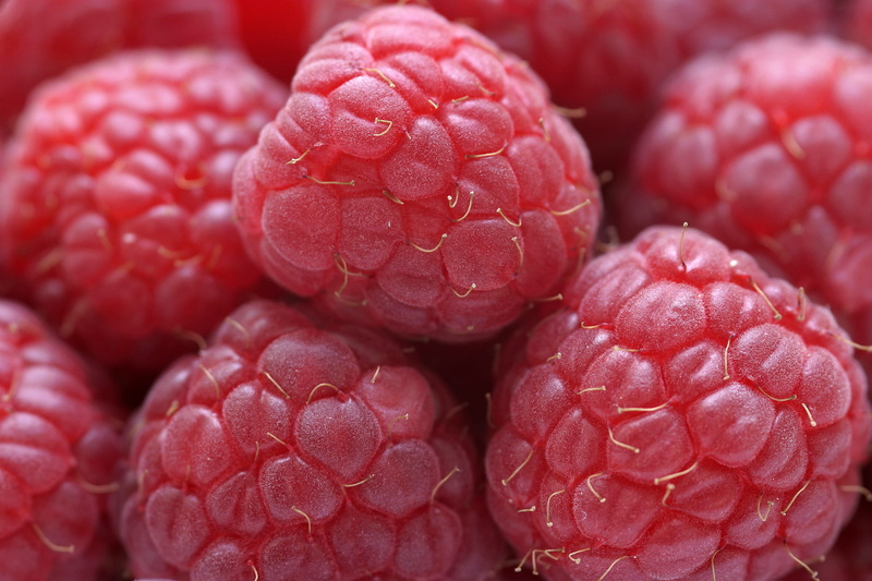 medium group of objects, berry, raspberry, red, natural condition, healthy lifestyle, backgrounds, no people, raspberries, fruit, healthy eating, 2K, close up