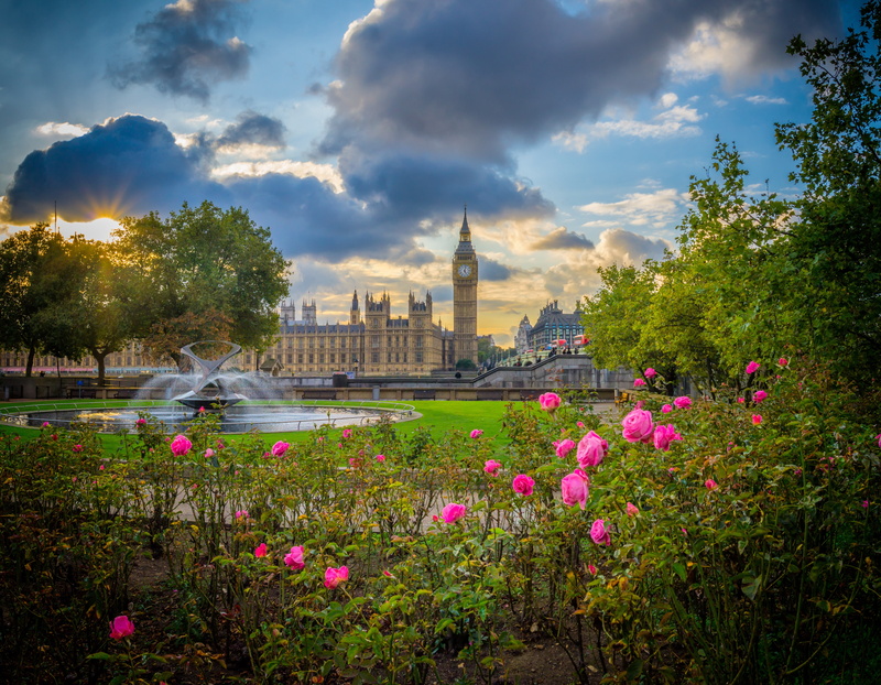 England, Palaces, Big Ben, Palace Of Westminster, Fountain, 4K, London, Park, Rose