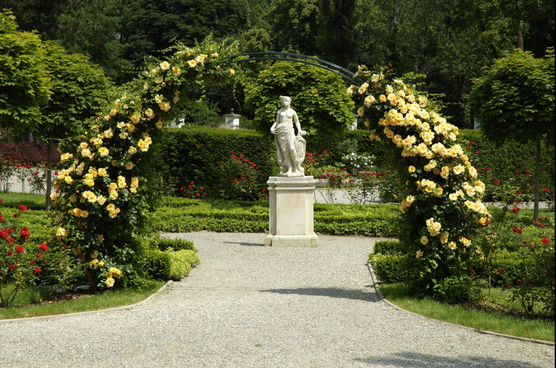 roses, 3d and abstract, arch, 1080P, garden, park, yellow