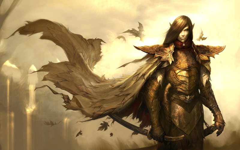 1080P, video games, digital art, fantasy art, armor, Disciples 3, elves, sword