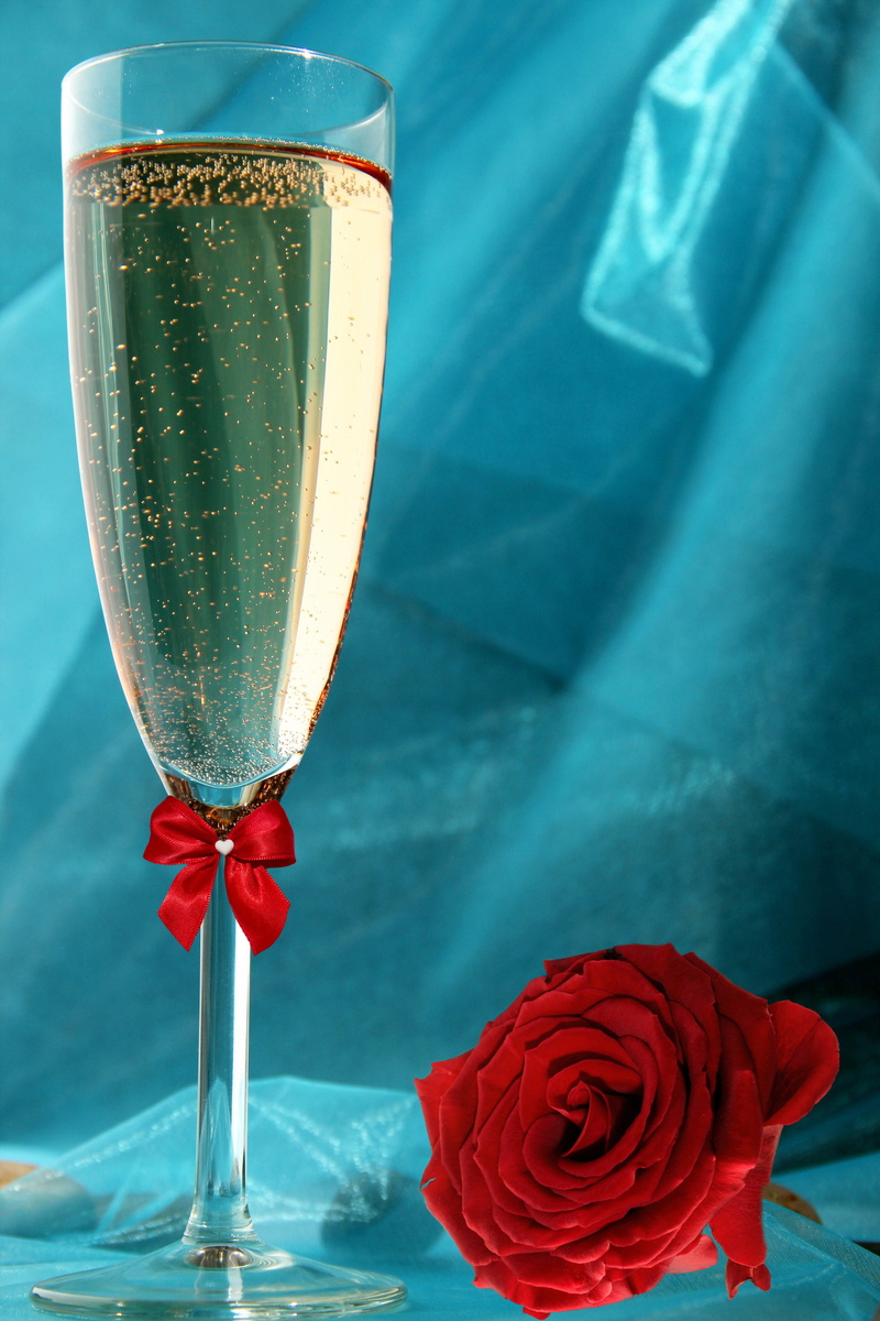 alcohol, red, ribbon, close-up, birthday, rose, wine, 5K, ribbon - sewing item, prost, flowering plant, silk, greetings, joy, blue, loop, festival, celebrate