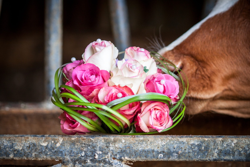 floristry, bouquet of roses, rose - flower, flower, flowers, contrast, flower head, Cow, bunch of flowers, Wedding, festivity, food, flower arrangement