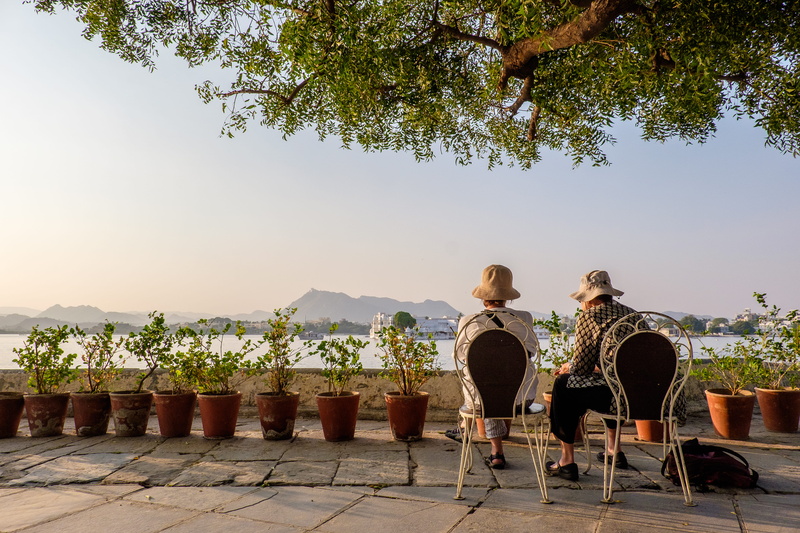 rear view, full length, day, casual clothing, togetherness, india, real people, elderly, udaipur city, people, plant, udaipur, nature, women, tourists