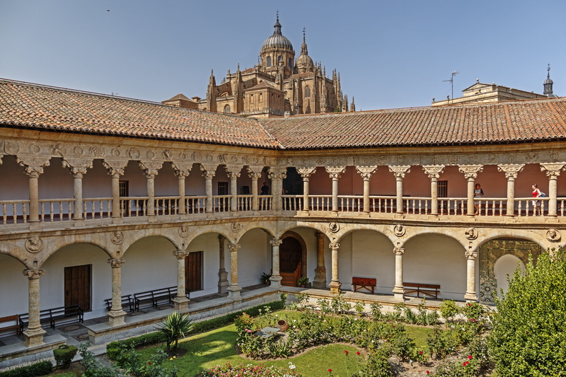 history, architectural column, salamanca, outdoors, patio, building exterior, plant, travel destinations, art, sky, city, cloister of las dueñas, spain