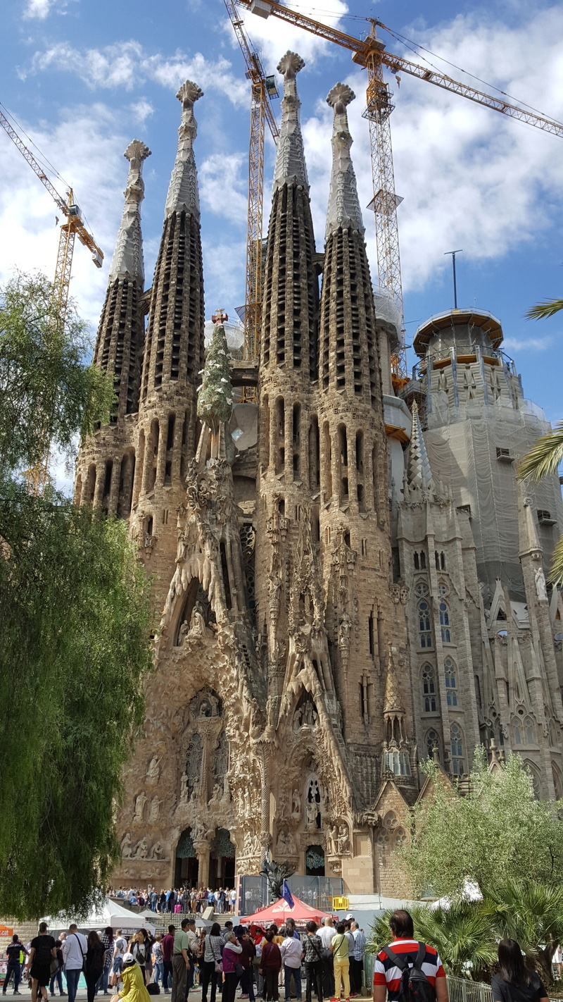 tree, sky, low angle view, history, sagrada familia, spain, religion, built structure, day, building exterior, travel, nature, travel destinations, 5K