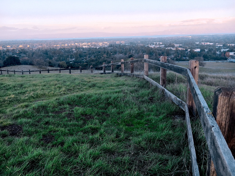 dish, 4K, grass, nature, outdoors, views, no people, arch bridge, sunset, field, green color, environment, stanford, growth, barrier, cloud - sky, palo alto