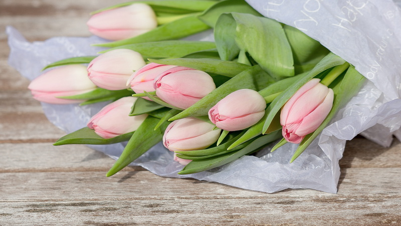 pink color, no people, celebration, pink flowers, still life, plant, floral decode, flower head, nature, spring, wooden table, paper, concerns, high angle view