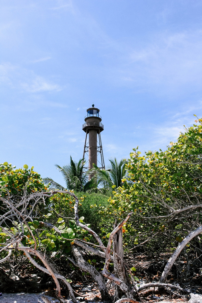 lighthouse, vase, tree, sanibel, planter, sky, beach, florida, herbs, outdoors, building, control tower, sanibel lighthouse, cloud - sky, beacon, day, tall - high