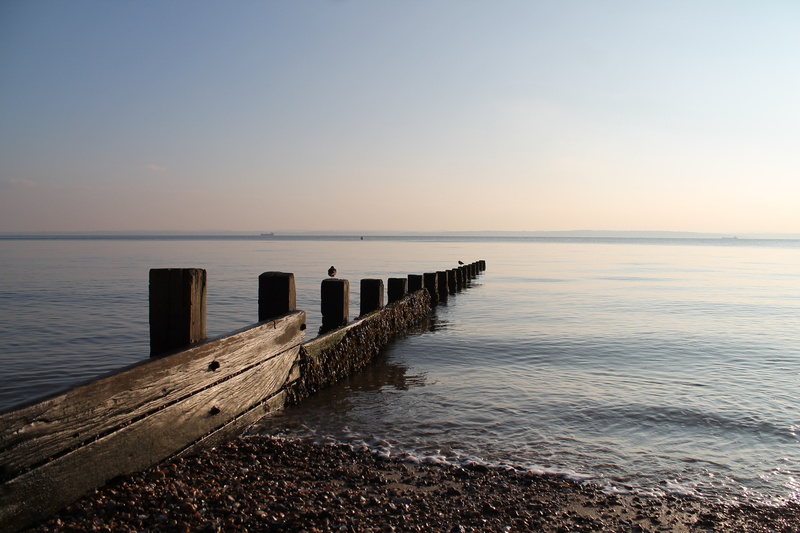 no people, sunlight, evening, horizon, coast, idyllic, nature, horizon over water, sea, pier, groyne, 4K, sunset, beach, wooden post, sky, clear sky, wood - material