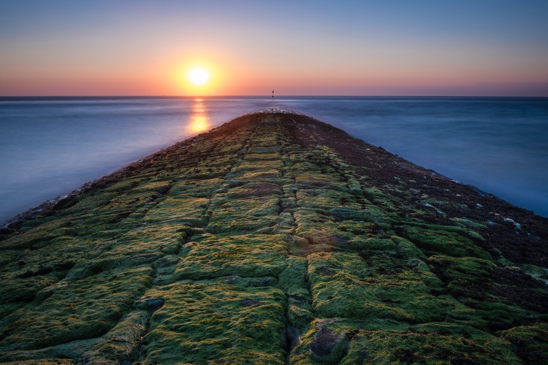 photography, beach, clear, landscape, tranquil scene, non-urban scene, idyllic, mossy, green, direction, baltrum, island, holiday, nature, tranquility