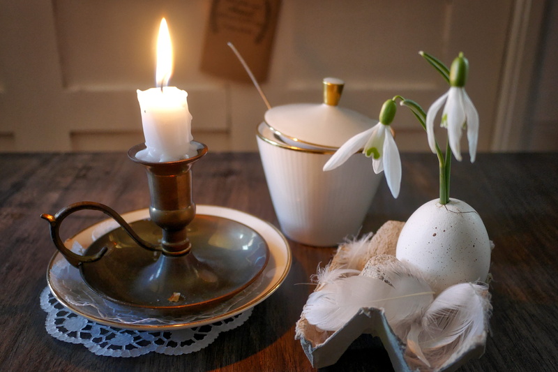 plant, flower, easter, food and drink, freshness, crockery, decoration, sugar bowl, fire, no people, drink, pitcher - jug, cafe, wood - material, easter decorations