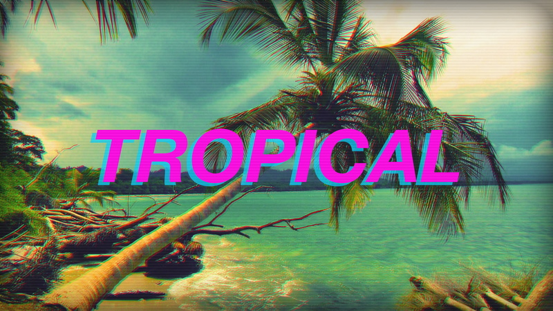 plant, neon, information, branch, western script, growth, no people, 1080P, communication, day, close-up, nature, tree, tropical climate, palm leaf, text
