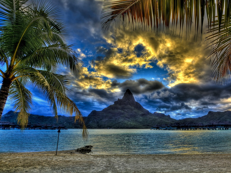 plant, non-urban scene, beach, sun, tranquility, day, idyllic, palm leaf, sunset, tourist Resort, bay Of Water, coastline, scenics - nature, mountain, vacations