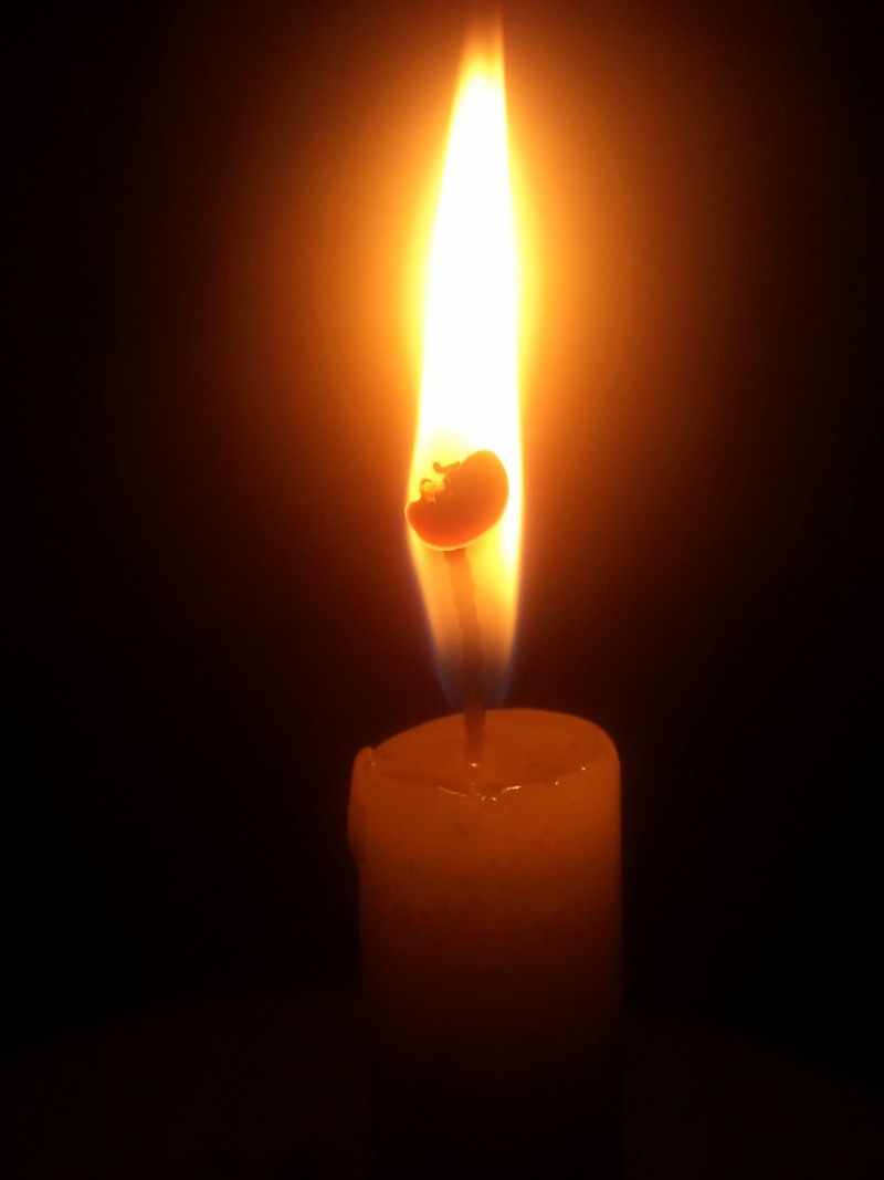 studio shot, dark, luminosity, close-up, glowing, heat - temperature, candle, brightly lit, light, fire, illuminated, copy space, single object, no people