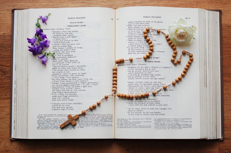 white, 1080P, paper, text, still life, no people, white rose, fragility, directly above, close-up, white flowers, indoors, the scriptures, bible, high angle view