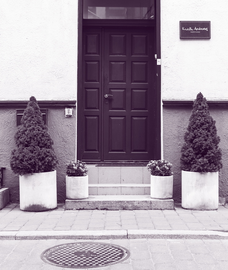 wall - building feature, window, decoration, built structure, nature, potted plant, monochrome, doorway, outdoors, door, black-and-white, white, entrance