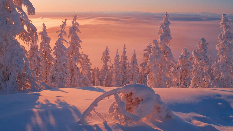 cold temperature, russia, winter, sakha republic, snow, sky, tree, frozen, yakutsk, deep snow, morning, landscape, yakutia, plant, idyllic, snowcapped mountain