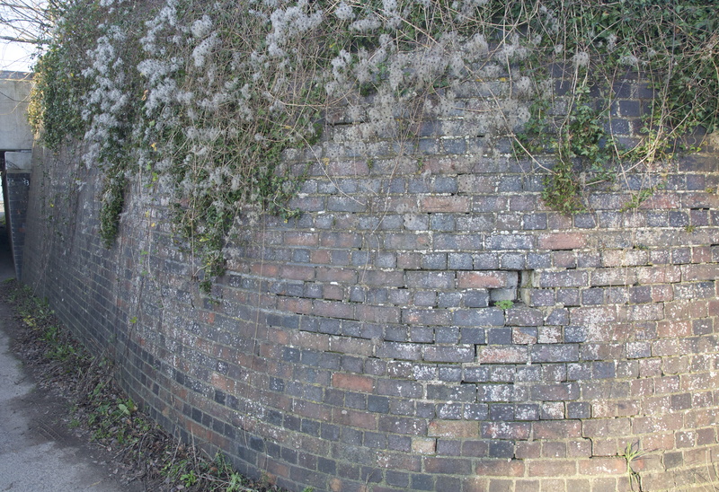 wall - building feature, architecture, high angle view, tree, plant, the wall, no people, outdoors, uk, growth, day, built structure, brick, staircase