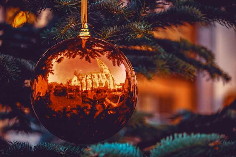 freiburger minster, reflections, advent, focus on foreground, plant, decoration, coniferous tree, christmas lights, reflection, 4K, christmas decoration