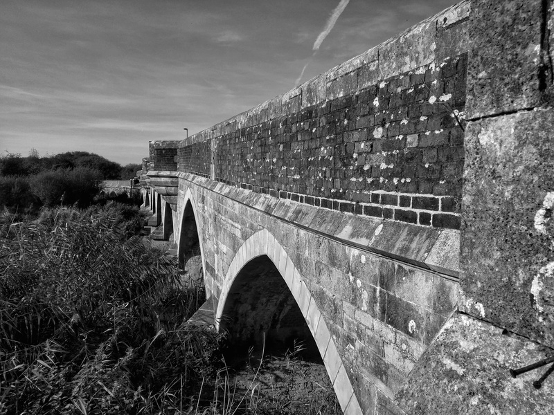 wimborne minster, day, green, tree, river, old, dorset, nature, building exterior, countryside, connection, transportation, bridge, river stour, arch bridge