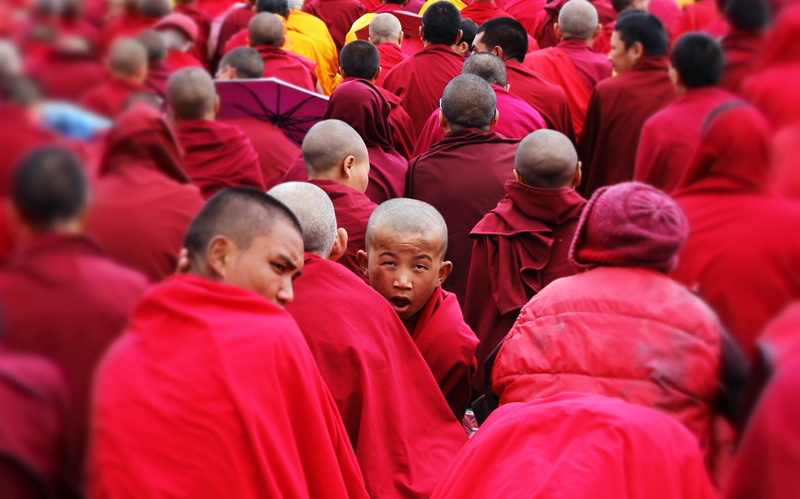 red, men, ladakh, 2K, selective focus, spectator, the monks, crowd, in a row, togetherness, buddhism, large group of people, religion, the monk, the dalai lama