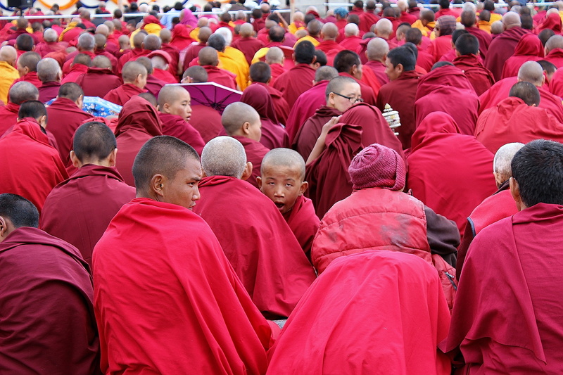 the monk, robe, large group of people, rear view, real people, belief, 5K, crowd, spectator, adult, red, outdoors, day, religion, the dalai lama, clothing