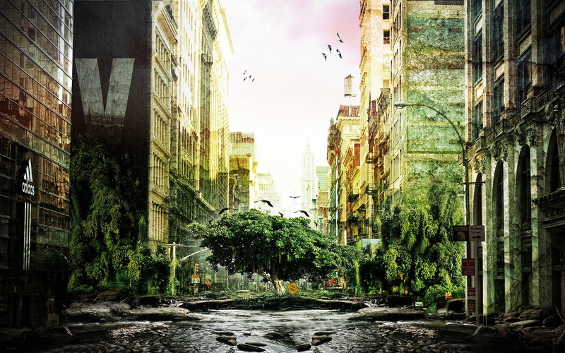 tree, old, built structure, 2K, waterfront, jungle, green, artwork, growth, water, outdoors, building, residential district, photo manipulation, tall - high
