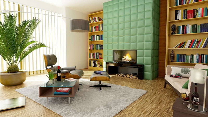 house, contemporary, shelf, plant, furniture, comfortable, coffee table, publication, cozy, sofa, pillow, luxury, bookshelves, lighting equipment, fireplace