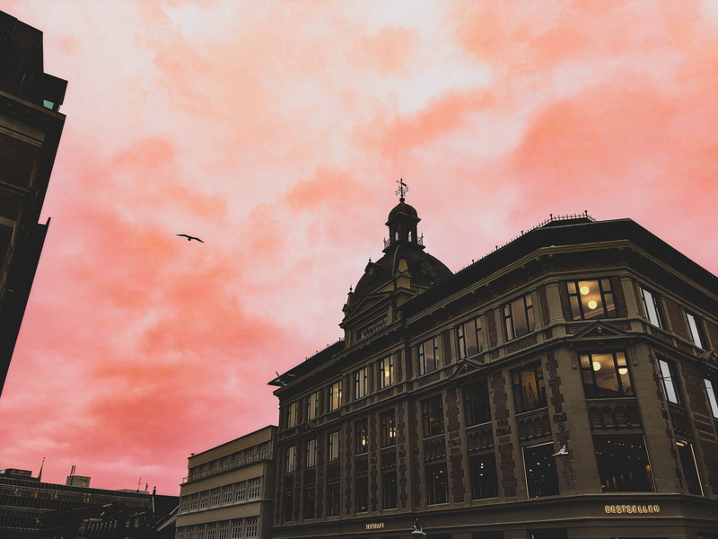 low angle view, tower, sunset, animal, urban, bird, architecture, 4K, animal wildlife, built structure, cloud - sky, road, nature, downtown, sky, orange color