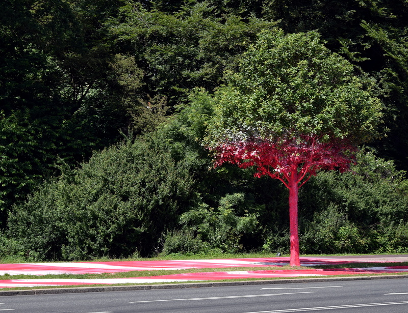 bright, foliage, city, city of culture, tranquility, denmark, 4K, no people, red, hedge, transportation, art, road, colored, day, aarhus, outdoors, nature