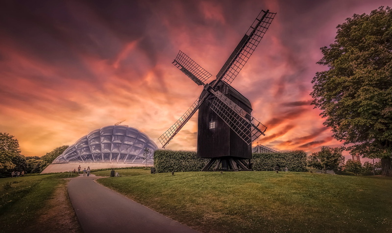 the bushes, mill, the sky, lawn, Aarhus, Park, trees, Denmark, sunset, grass, 1080P