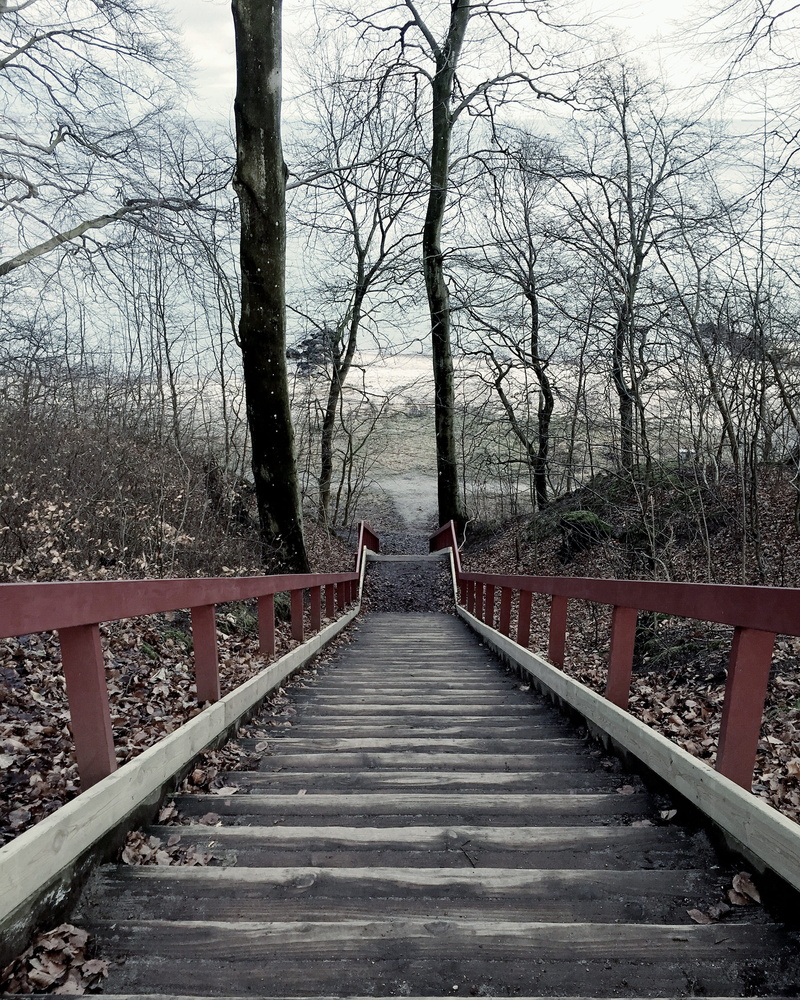 footbridge, danmark, day, connection, land, diminishing perspective, ocean, architecture, nature, direction, no people, tranquility, outdoors, forest, tranquil scene