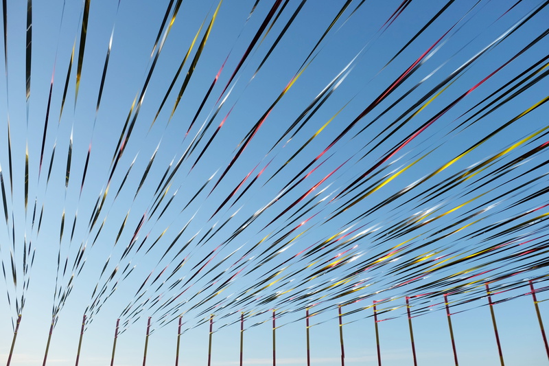 close-up, backgrounds, zilvinas kempinas, denmark, outdoors, nature, kakashi by zilvinas kempinas. sculpture by the sea 2015, security, low angle view