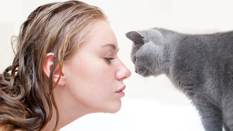 mammal, hair, kissing, portrait, side view, face, women with cat, blond hair, body part, one person, pets, cat, domestic animals, brunette, 720P, women