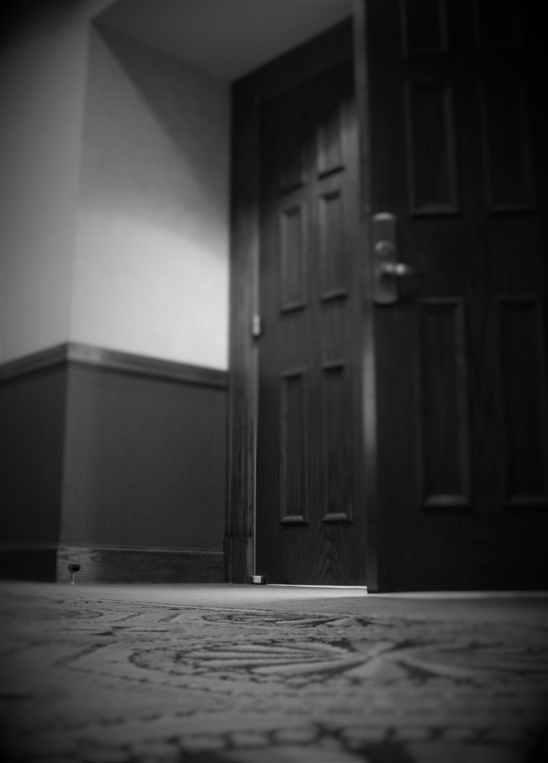 decor, hotel, room, carpet, Light, flooring, house, wood, safety, mystery, Door, home interior, motel, bright, wall - building feature, architecture, no people