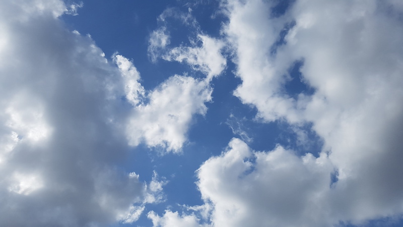 wind, white color, 4K, no people, overcast, low angle view, sky, nature, backgrounds, environment, dramatic sky, scenics - nature, landscape, tranquility