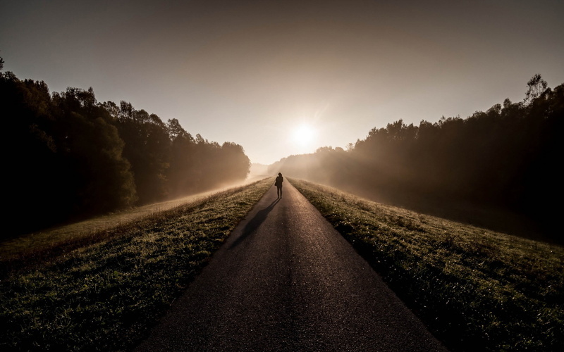 vanishing point, the way forward, scenics - nature, transportation, road, sunset, lens flare, landscape, sky, tree, sun, asphalt, tranquility, beauty in nature