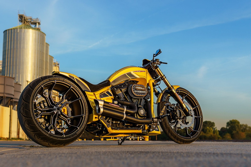 Custom Motorcycle, 1080P, Motorcycles, Thunderbike Customs, Harley-Davidson