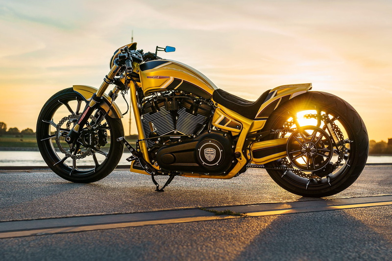 Custom Motorcycle, Motorcycles, 1080P, Harley-Davidson, Thunderbike Customs