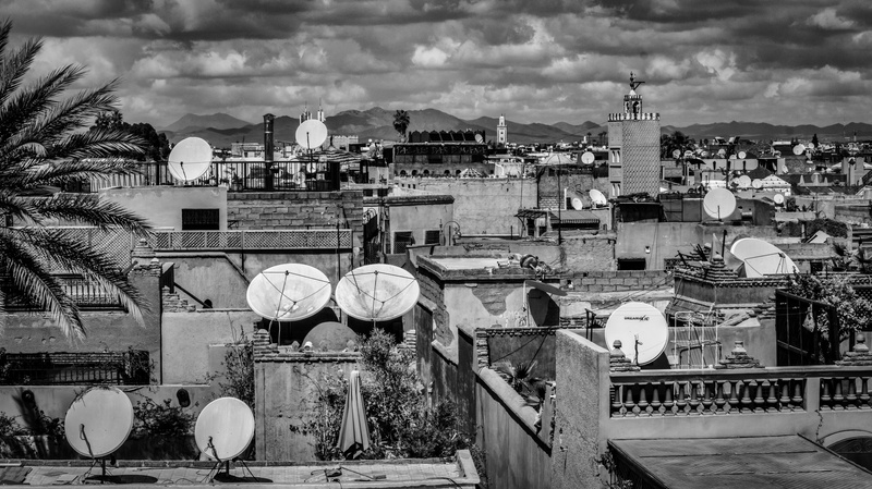 palm, day, high angle view, antenna - aerial, reception, townscape, built up, sunlight, plant, abstract, moody, technology, cityscape, outdoors, marrakesh