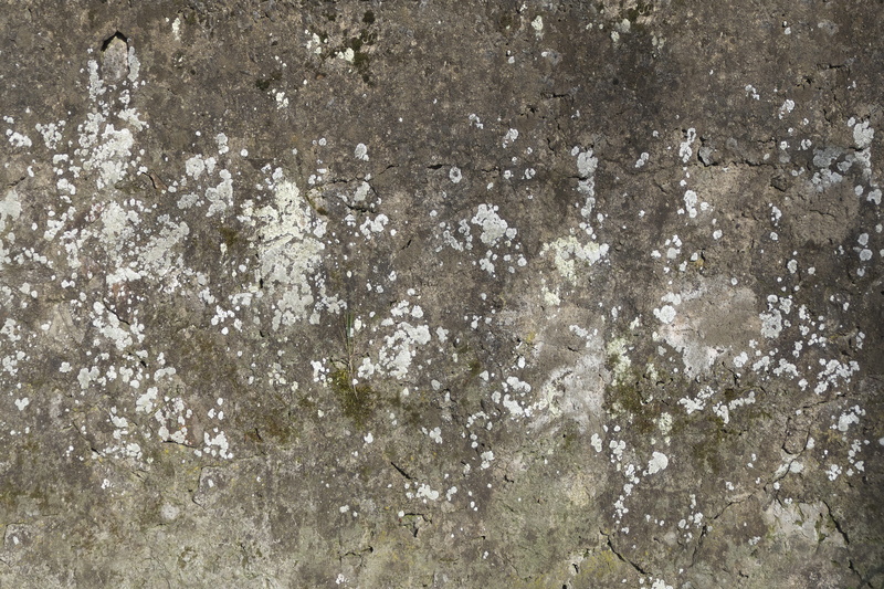 weathered, close-up, fouling, spotty, abstract, architecture, high angle view, white color, masonry, structure, no people, solid, dirty, regulation, 5K